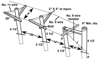 Details for constructing the Double Curtain trellis.