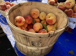 Peach Pruning