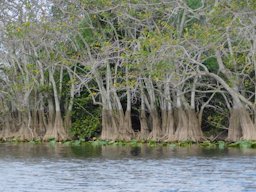 Everglades Holiday Park, Fort Lauderdale, FL, US