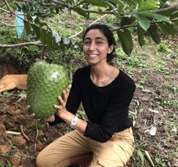 Harvesting