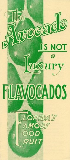 Leaflet from Florida Avocado Growers Exchange