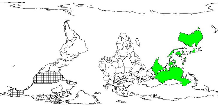 Bignay distribution