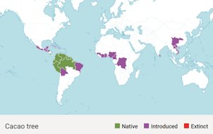 Credit: Kew Gardens Map of worldwide cacao tree distribution. Diagram courtesy Kew Gardens.