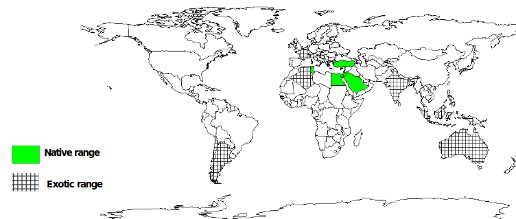 Documented Species Distribution