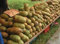 Cempedak mesti ada. Senai, Johor, Malaysia.