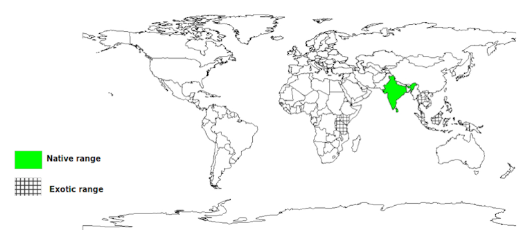 Documented Species Distribution