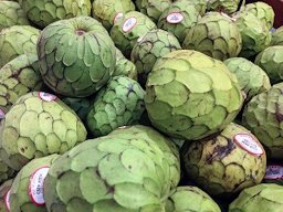 Cherimoya. Bought one, but it's too green to eat until it ripens