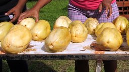 Barbadine is a tropical fruit that is made into a sweetened drink. recently is has acquired a reputation as a most desired flavour for ice creams