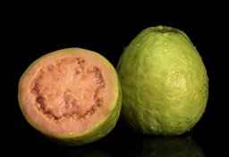 Red guava Psidium guajava.