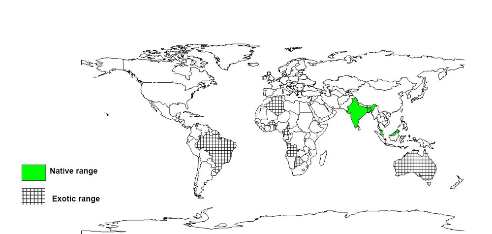 Documented Species Distribution