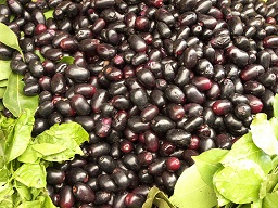 Ripe fruits for sale in a HAL market in Bangalore