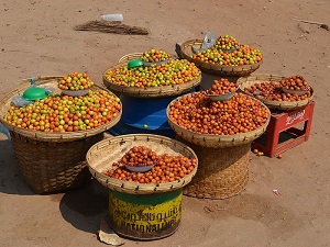 Masau fruits for sale