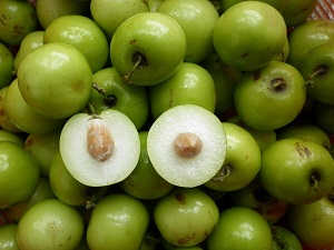 Indian jujubes