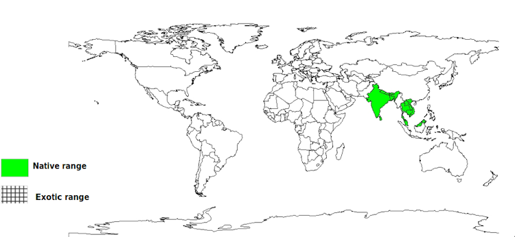 Documented Species Distribution