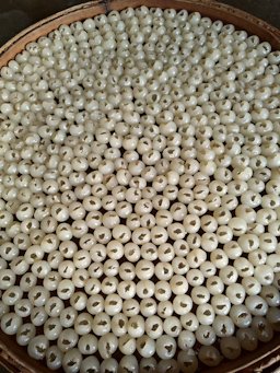 Pitted longan fruit pulp