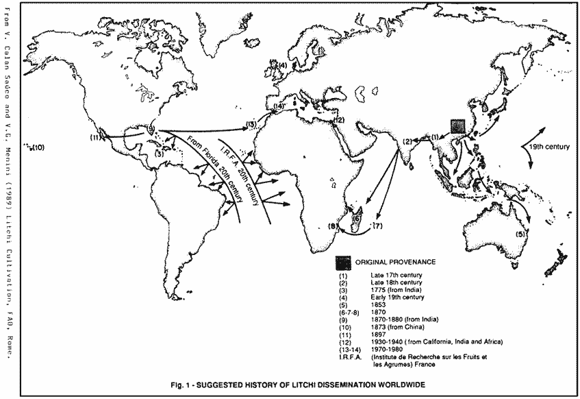 Suggested History of Litchi Dissemination Wordwide