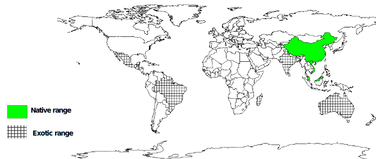 Documented species distribution