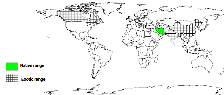 Documented Species Distribution