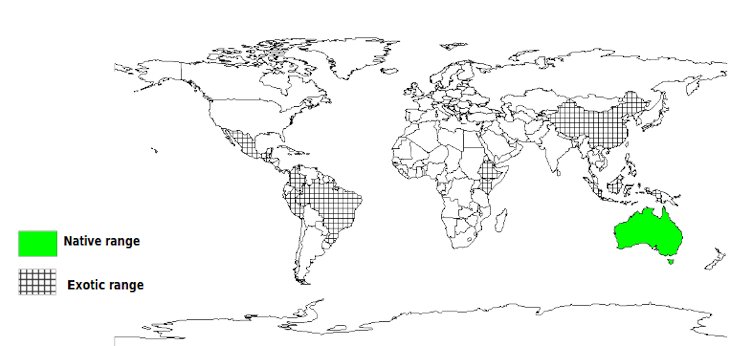 Documented Species Distribution