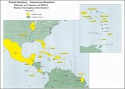 Distribution of the papaya mealybug, Paracoccus marginatus Williams and Granara de Willink, as of May 2003.