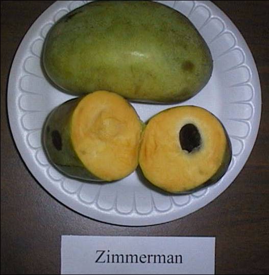 Zimmerman