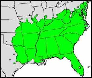 The Persimmon’s native range.