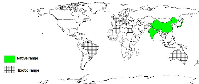 Documented Species Range