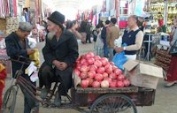 Punica Granatum. China Kashgar (Xinjiang province)