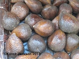 Bali cultivar