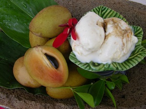 Sapodilla desert