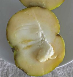 White sapote