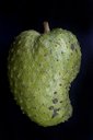 Soursop fruit