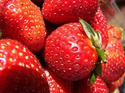 Fragaria x ananassa (Cultivated strawberry). Fruit Makawao, Maui, Hawaii