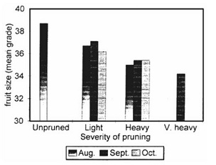 Fig. 3. Mean fruit size from mature tamarillo trees under various