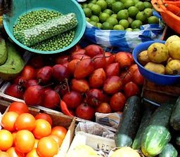 Tree tomatoes, Ecuador