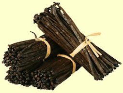 Vanilla beans