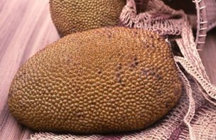 Jackfruit