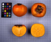 'Sugura' persimmon