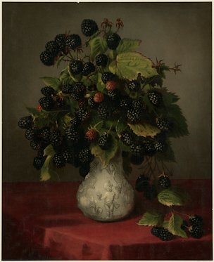 Blackberries in a Vase