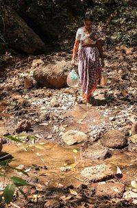 The Fernandes’ are also traditional fisherfolk