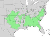 Natural distribution map for Prunus angustifolia (Chickasaw plum)