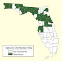 Chickasaw plum distribution map, wild populations