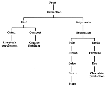 Products of cupuassu fruit