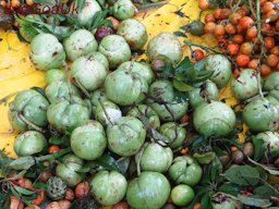 Matoli Bazar in the Rain, Panjim Promenade