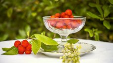 Arbutus fruit. leaves and flowers