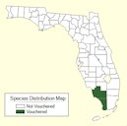 Tahitian gooseberry tree distribution map, wild populations