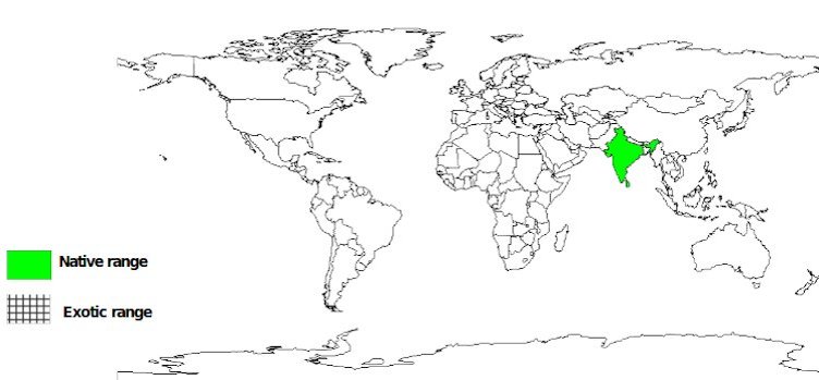 Documented Species Distribution