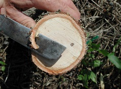 Trimming the stock cut