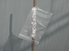 Bag positioned over graft