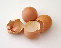 Egg Shells